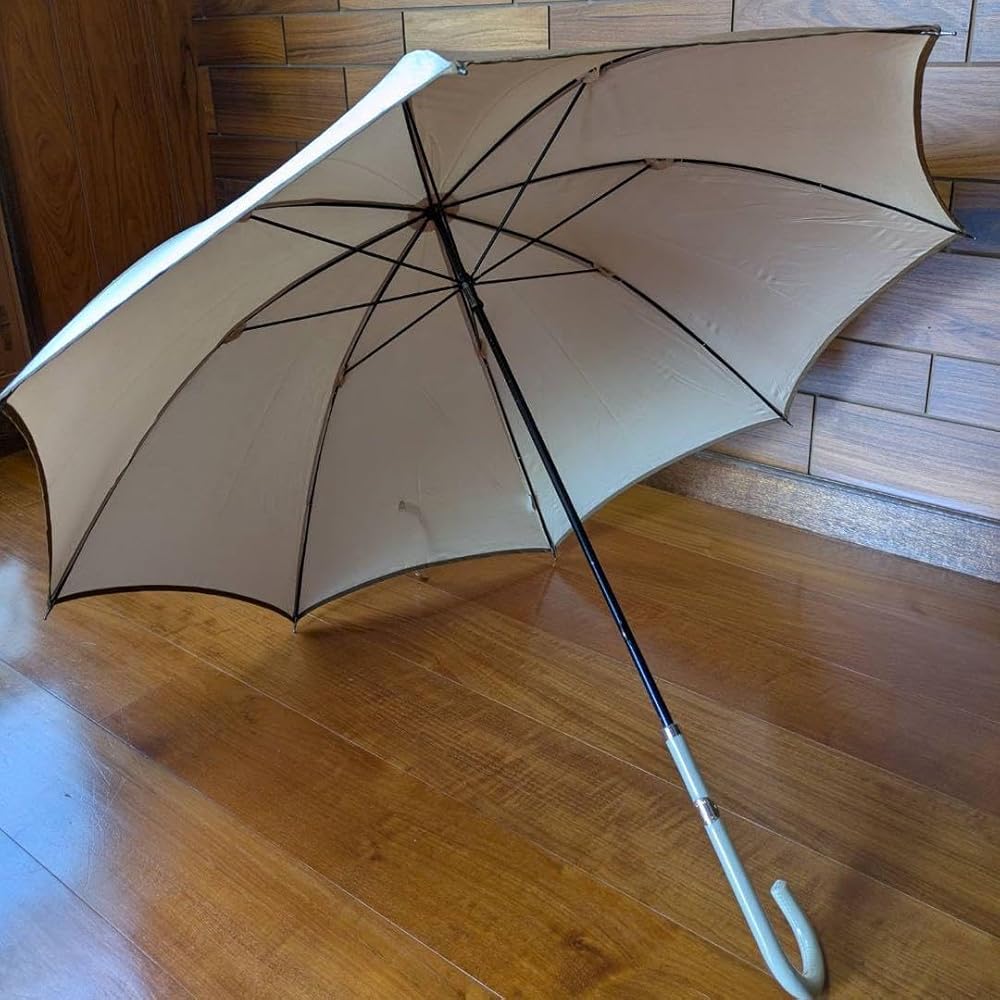 Amazon.co.jp: 【美品】 トラサルディ 雨傘 長傘 : ホビー